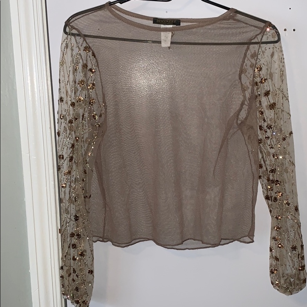 Sheer Top with Glitter sleeves